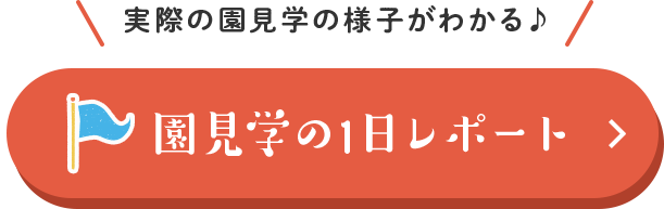 園見学の1日レポート